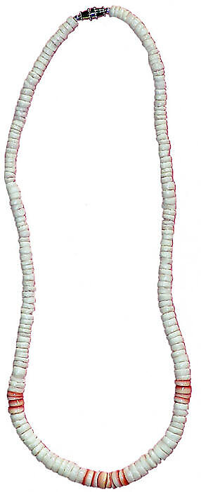 17 Long Shell Necklace