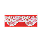 Stretch Lace