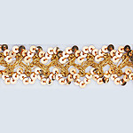 Sequin Trim Lace