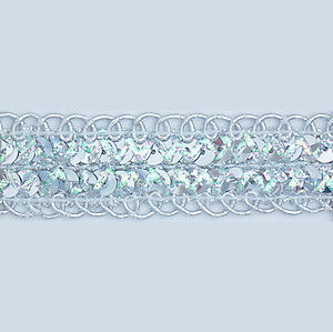 Sequin Trim Lace Tucson