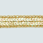 Sequin Trim Lace Tucson