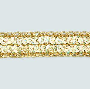 Sequin Trim Lace Tucson