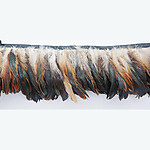 Feather Fringe