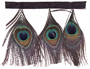 Peacock Eye Fringe