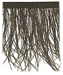 Peacock Fringe