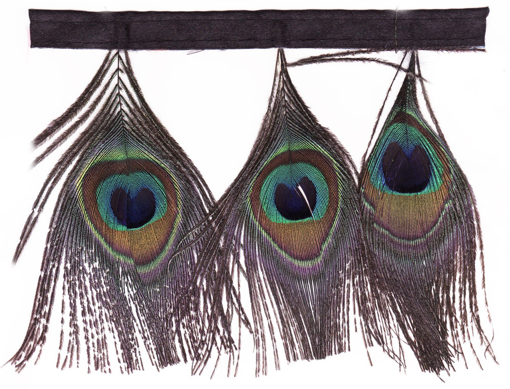 Peacock Eye Fringe