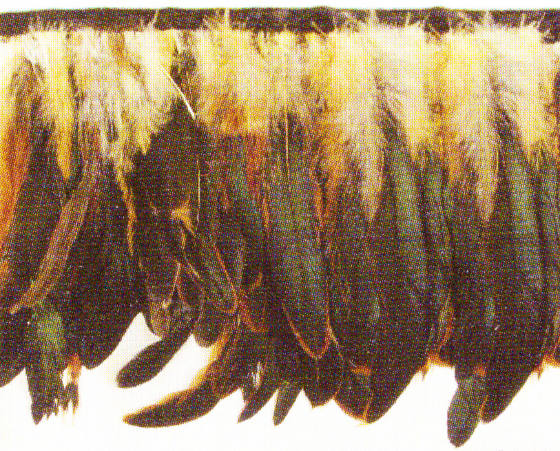 Coque Feather Fringe